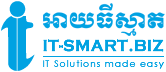 www.it-smart.biz